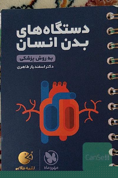 لقمه طلایی دستگاه‌های بدن انسان (به روش پزشکی)