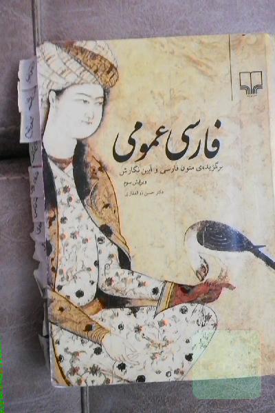 فارسی عمومی: برگزیده‌ی متون زبان فارسی و آیین نگارش