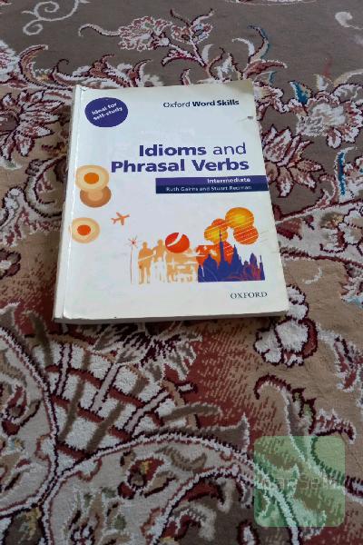 Idioms and phrasal verbs 