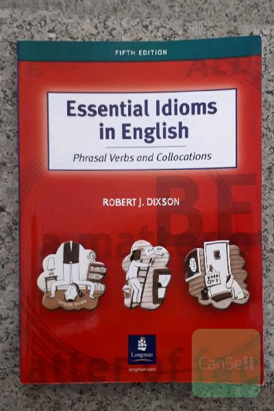 Essential Idioms in English 