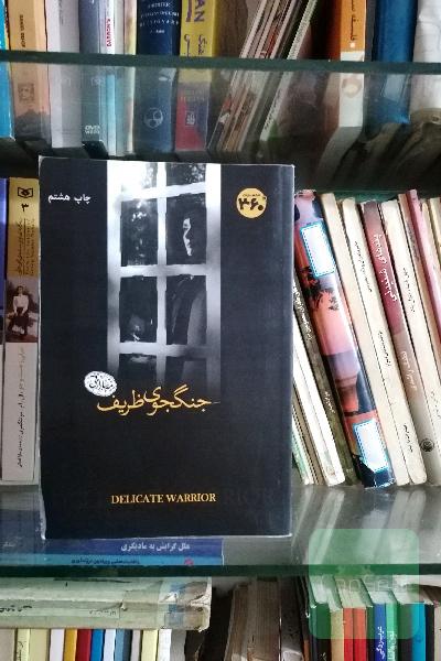 جنگجوی ظریف 