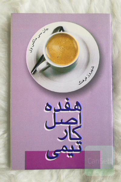 17 اصل کار تیمی