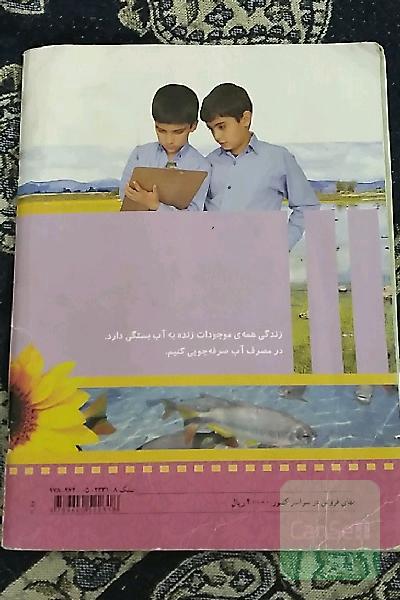 علوم تجربی