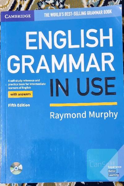 English Grammar in Use 