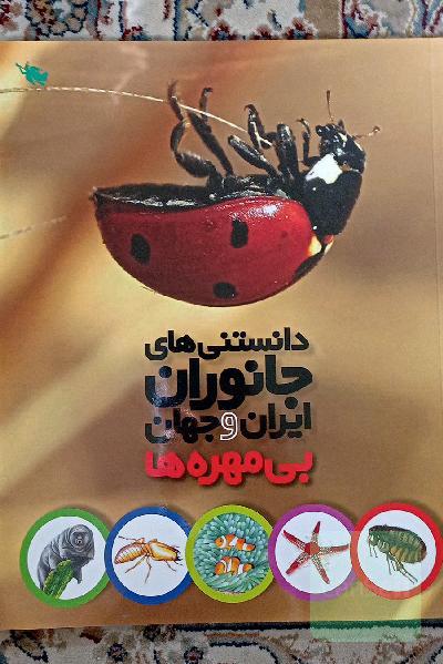 بی‌مهره‌ها