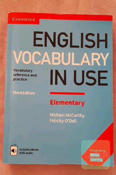 English vocabulary in use