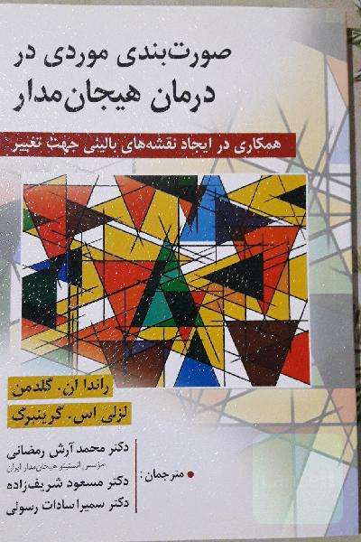صورت بندی موردی در درمان هیجان مدار 