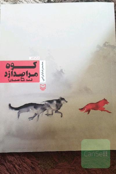 کوه مرا صدا زد