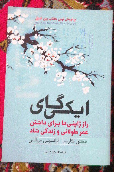 ایکی گای