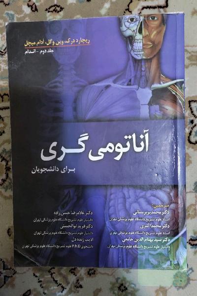 آناتومی گری