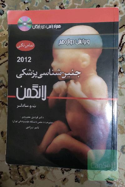جنین شناسی لانگمن