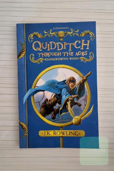 quidditch through the ages