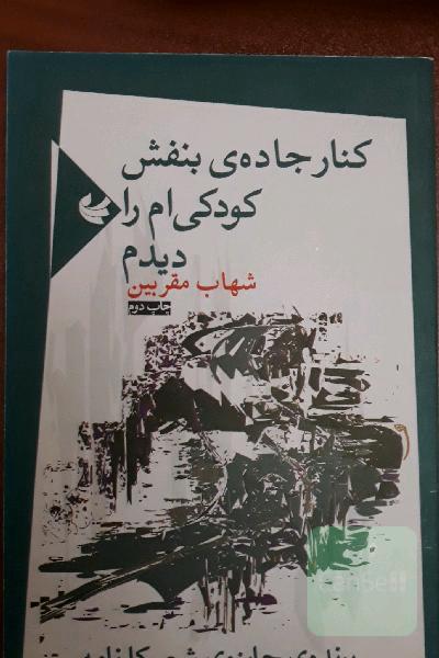 کنار جاده ی بنفش کودکی ام را دیدم