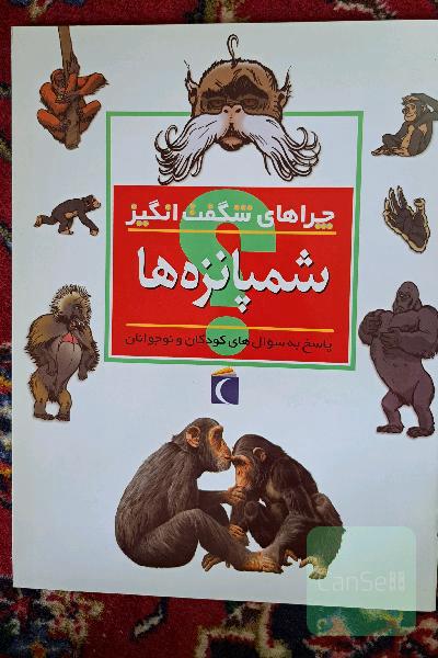 چراهای شگفت انگیز شامپانزه ها.پاسخ به سوال های کودکان و نوجوانان 