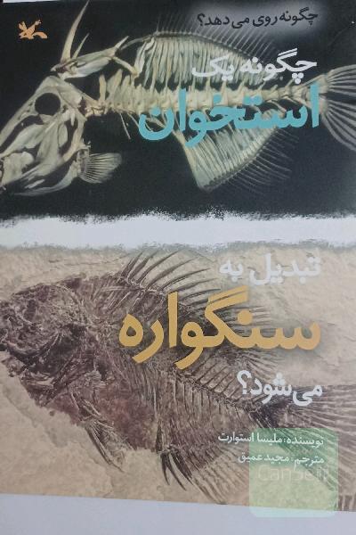 چگونه یک استخوان تبدیل به سنگواره می شود ؟