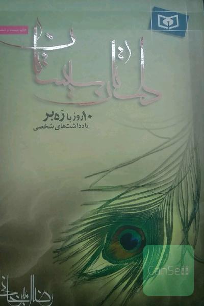 داستان سیستان: 10 روز با ره‌بر: یادداشت‌های شخصی