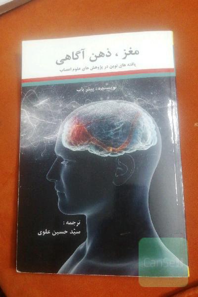 مغز، ذهن، آگاهی 