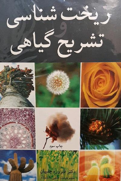 ریخت‌شناسی و تشریح گیاهی