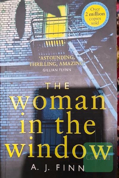 the woman in the window