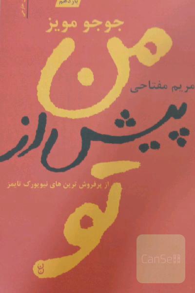 من پیش از تو 