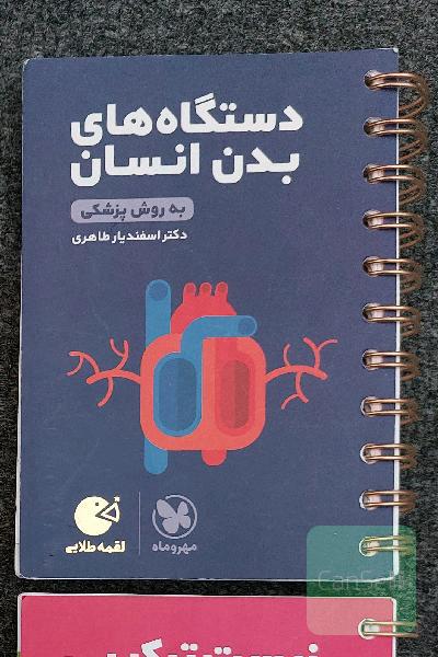 لقمه مهروماه ترکیبی و دستگاه های بدن انسان