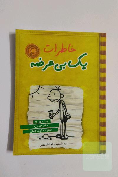 خاطرات یک بی‌عرضه: دفترچه زرد