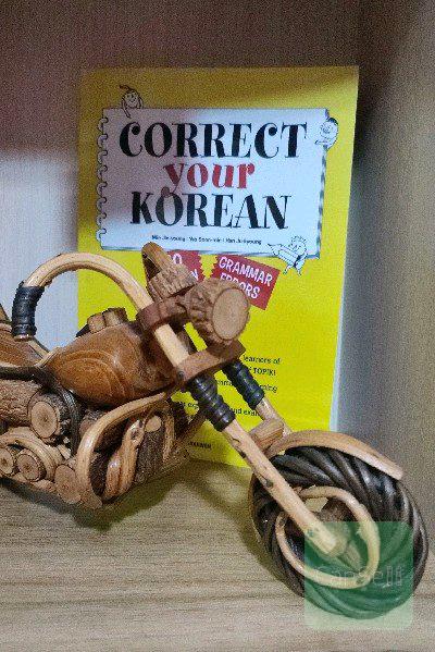 correct your Korean 