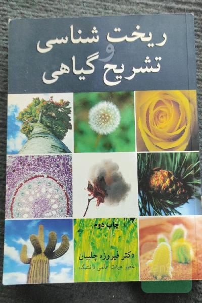 ریخت‌شناسی و تشریح گیاهی