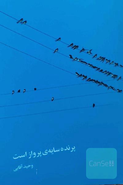 پرنده سایه‌ی پرواز است