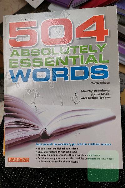 504 absolutely essential words