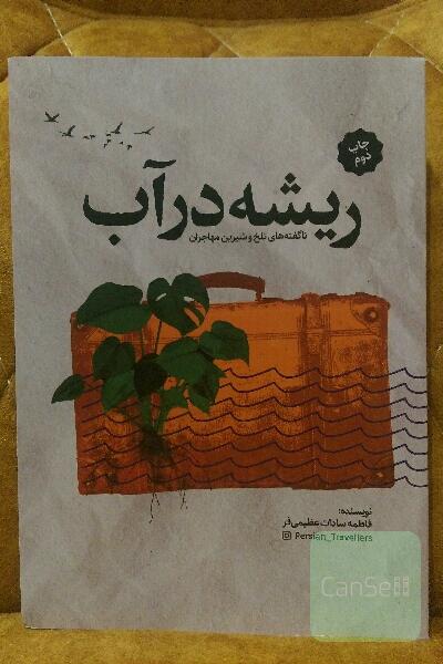 ریشه در آب