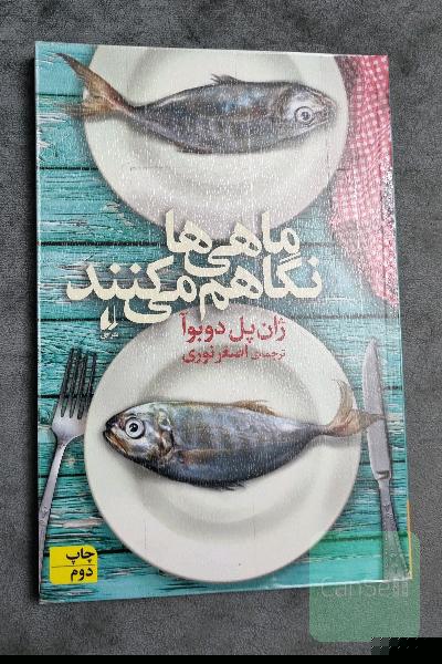ماهی‌ها نگاهم می‌کنند