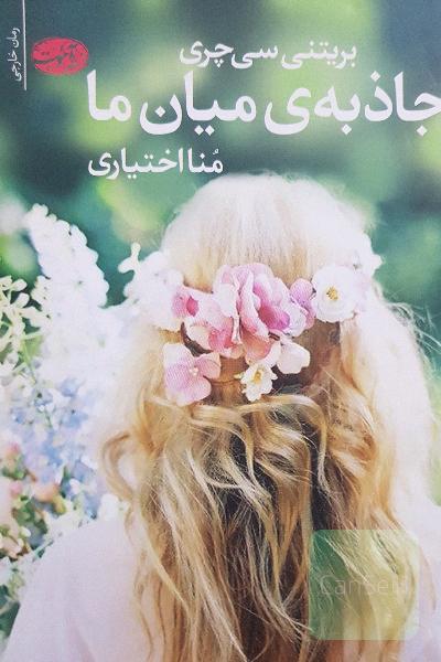 جاذبه‌های میان ما (رمان)