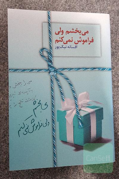 میبخشم ولی فراموش نمیکنم