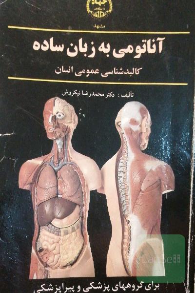 آناتومی به زبان ساده