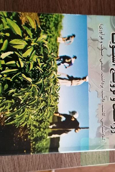 زراعت و ترویج استویا