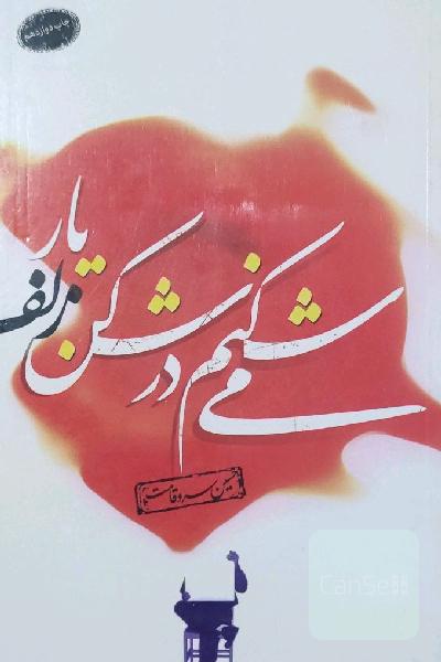 می‌شکنم در شکن زلف یار