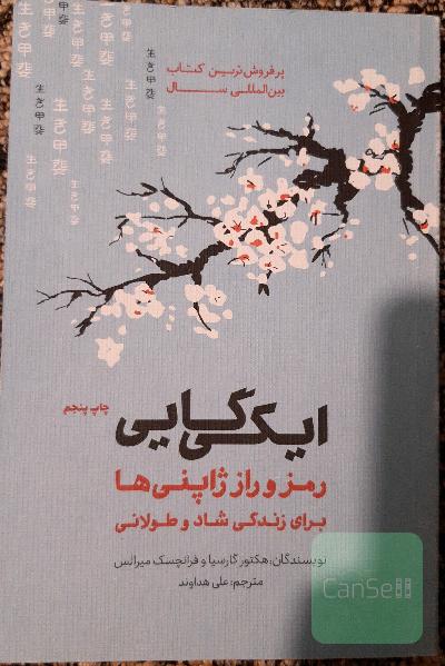 ایکی گایی