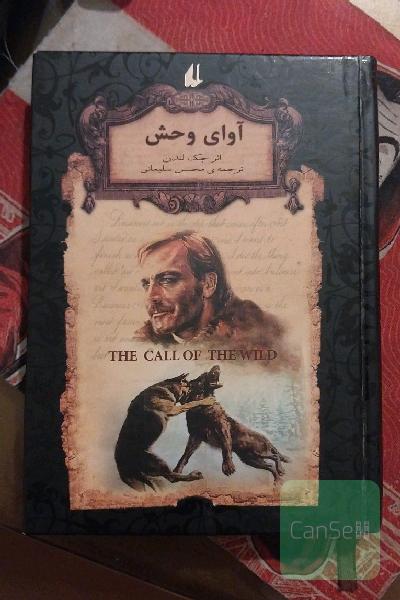 آوای وحش