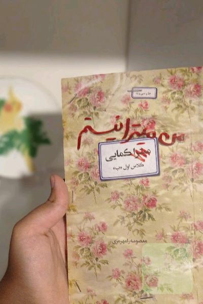 من میترا نیستم: روایت زندگی شهید زینب کمایی