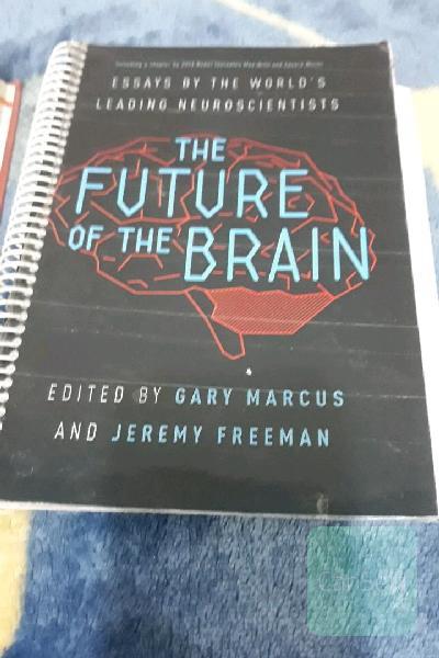 The future of the brain
